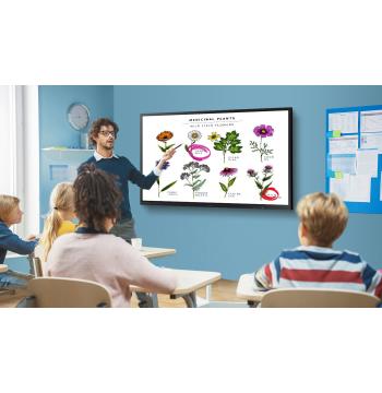 Samsung LH75WMAWLGCXZC 75in 4K Interactive Display, Infrared Touch