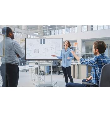Newline 65" C-Series 4K 40-touch Interactive Display (TT-6523C)