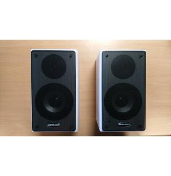 CleverTouch Active Speaker 40W Wall Mount (1050038)